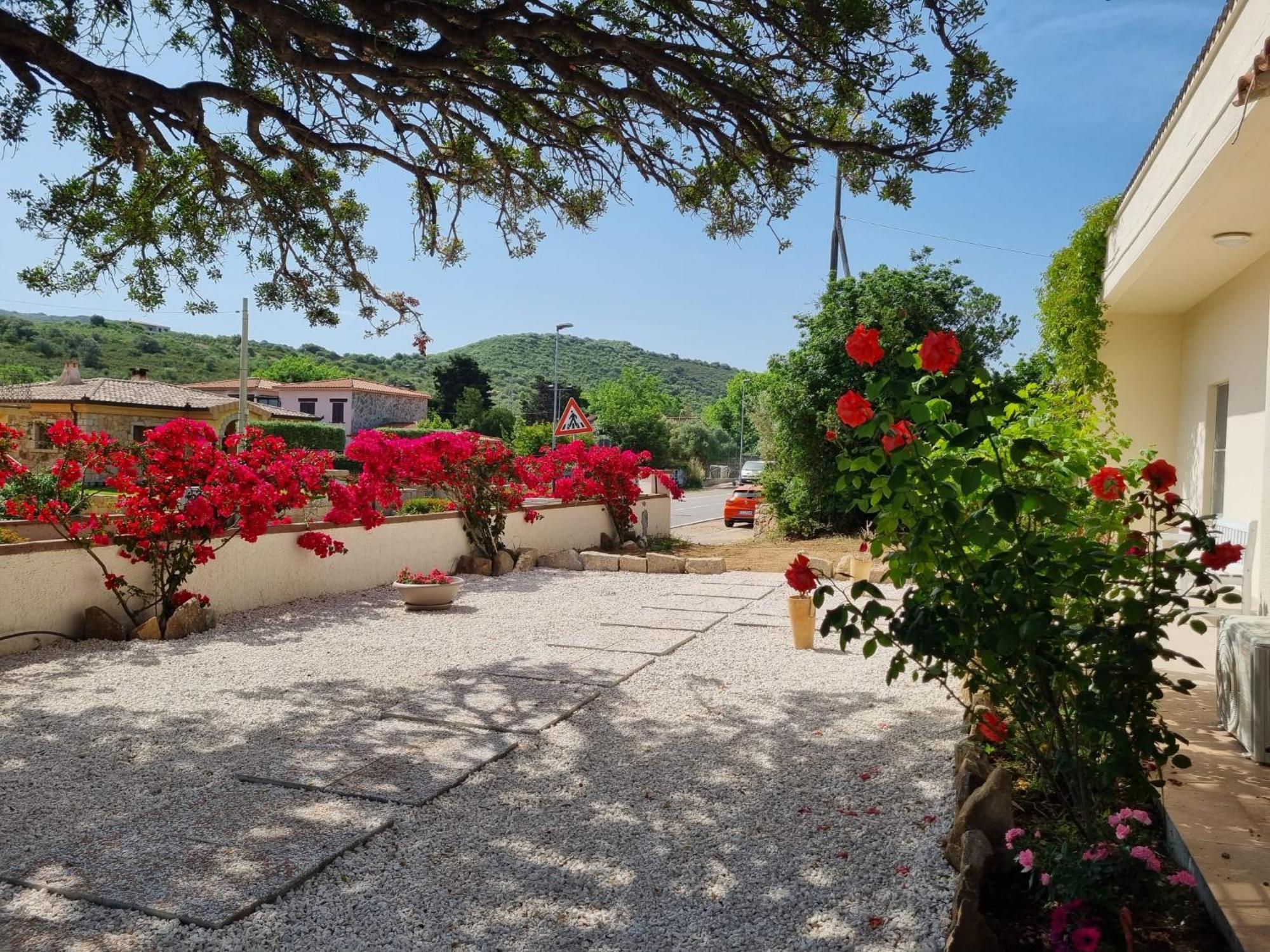דירות Stazzo San Teodoro Piscina Condivisa מראה חיצוני תמונה